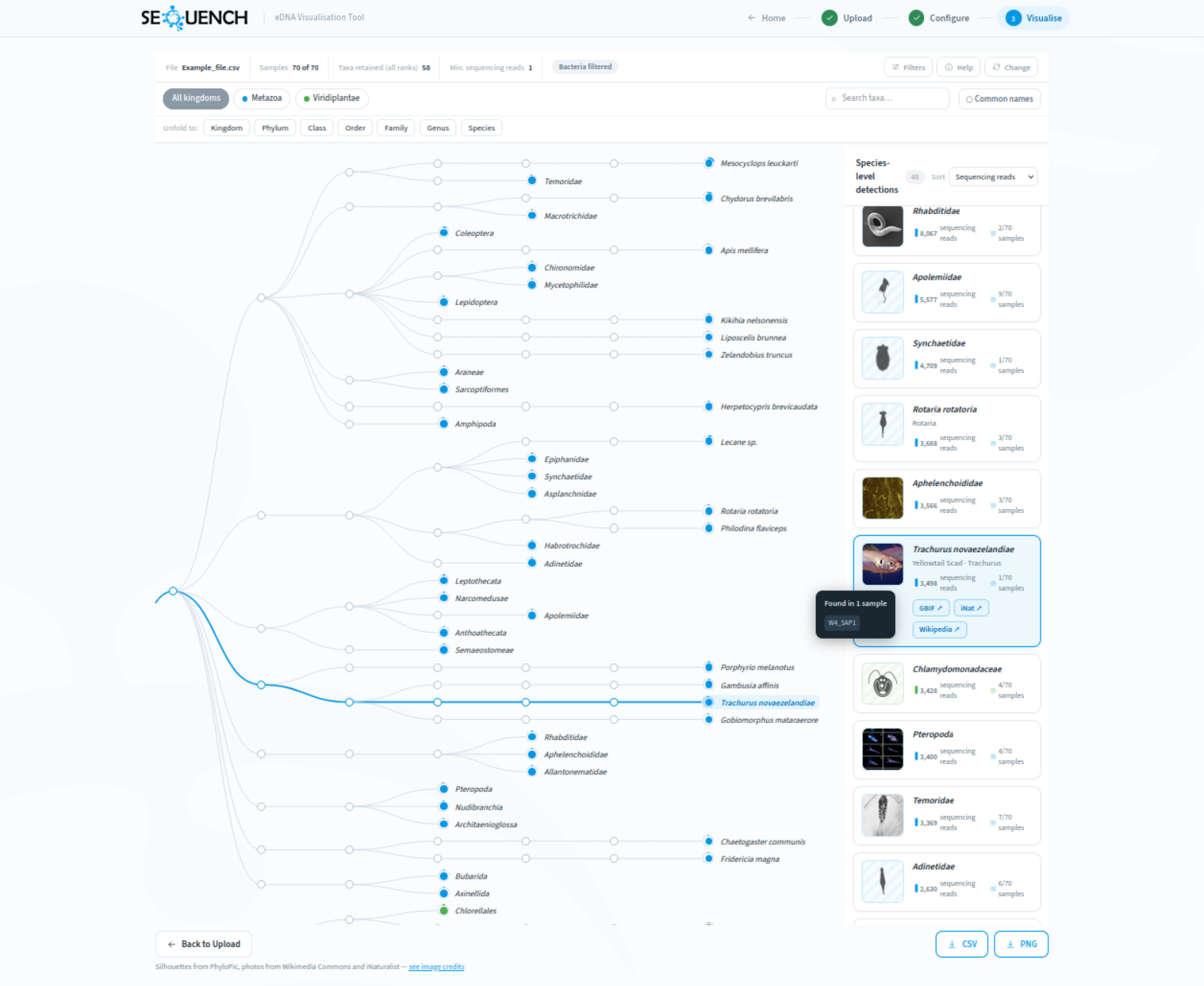 Visualisation page showing the taxonomy tree next to the species detection list